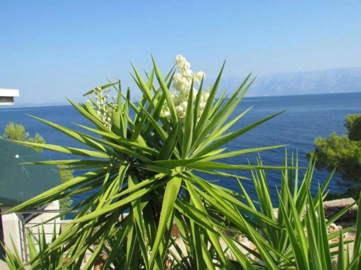 Gdinj Holiday House Jakov מראה חיצוני תמונה