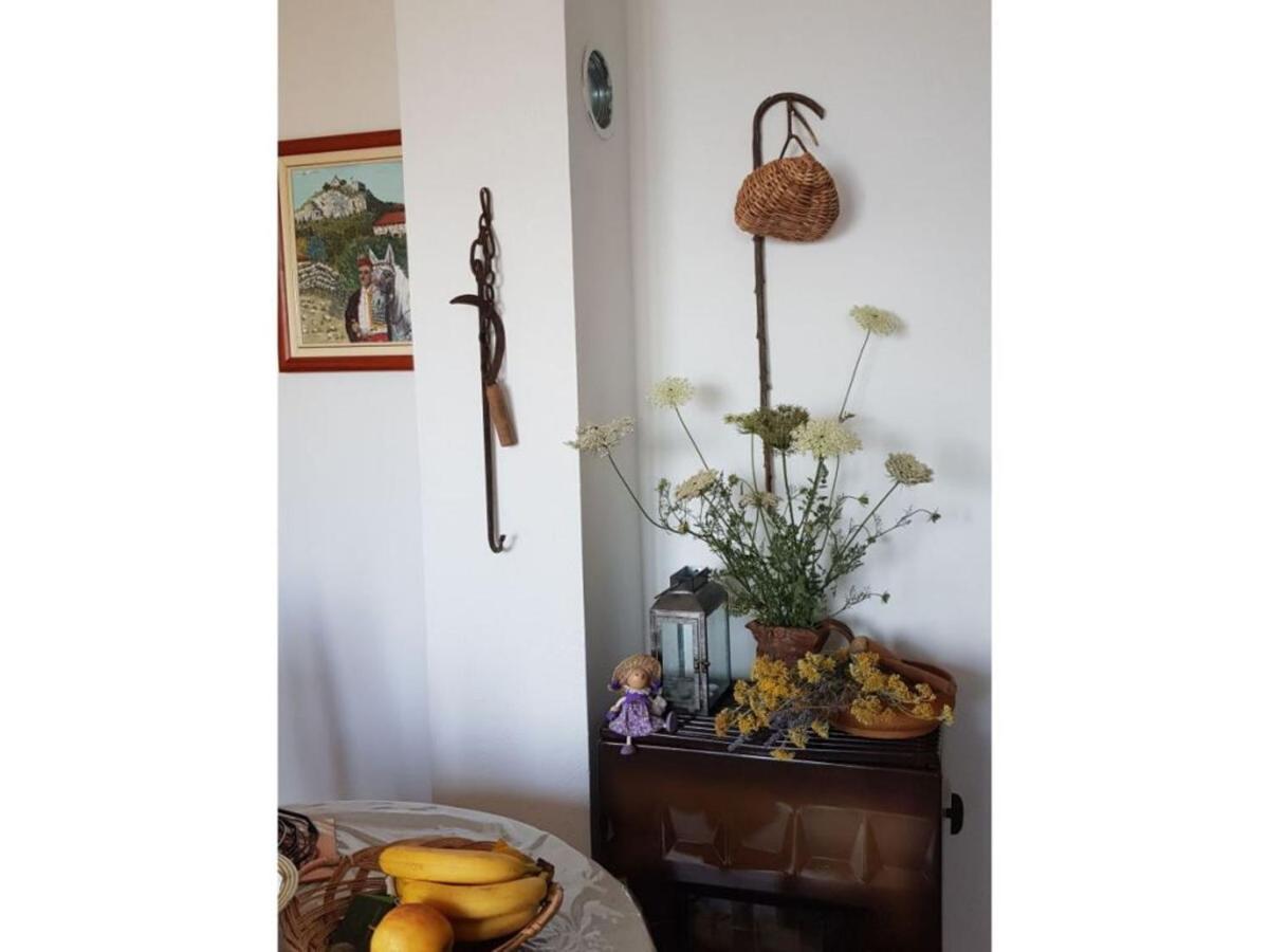 Gdinj Holiday House Jakov מראה חיצוני תמונה
