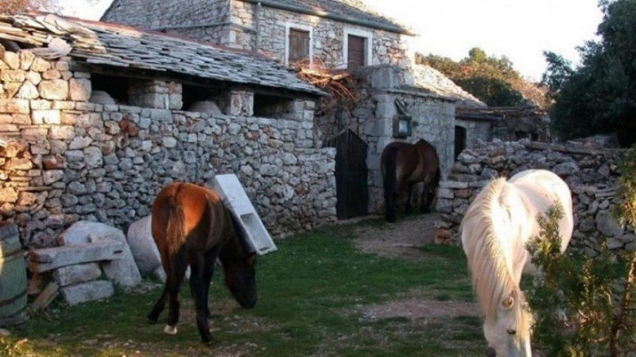 Gdinj Holiday House Jakov מראה חיצוני תמונה